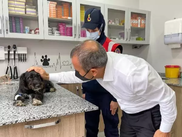 KÖPEĞİ MOTOSİKLETİN ARKASINA BAĞLAYAN SÜRÜCÜ YAKALANDI