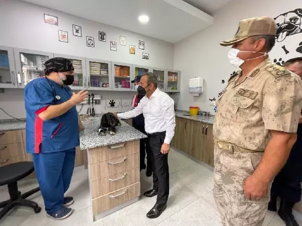 KÖPEĞİ MOTOSİKLETİN ARKASINA BAĞLAYAN SÜRÜCÜ YAKALANDI