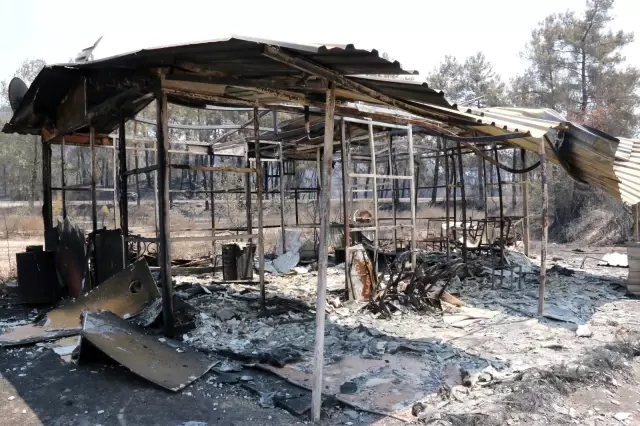 Manavgat yangınında safari tesisi küle döndü, işletme sahibi canını zor kurtardı