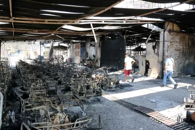 Manavgat yangınında safari tesisi küle döndü, işletme sahibi canını zor kurtardı