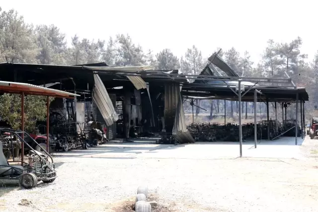 Manavgat yangınında safari tesisi küle döndü, işletme sahibi canını zor kurtardı