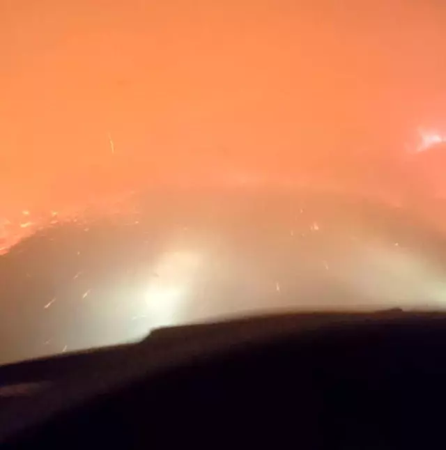 Manavgat yangınında safari tesisi küle döndü, işletme sahibi canını zor kurtardı