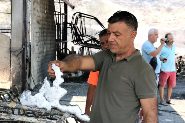 Manavgat yangınında safari tesisi küle döndü, işletme sahibi canını zor kurtardı