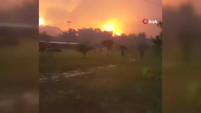 Manavgat yangınında safari tesisi küle döndü, işletme sahibi canını zor kurtardı