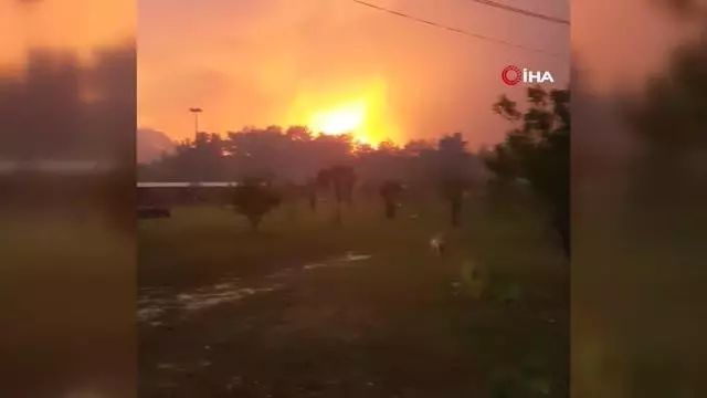 Manavgat yangınında safari tesisi küle döndü, işletme sahibi canını zor kurtardı