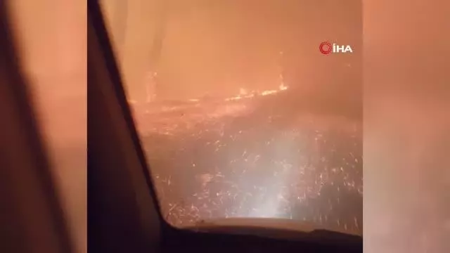 Manavgat yangınında safari tesisi küle döndü, işletme sahibi canını zor kurtardı
