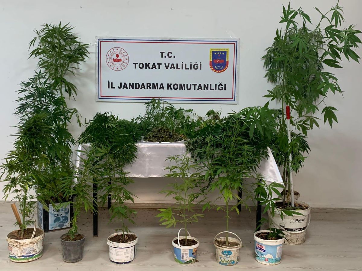 Tokat'taki uyuşturucu operasyonlarında gözaltına alınan 2 kişi tutuklandı