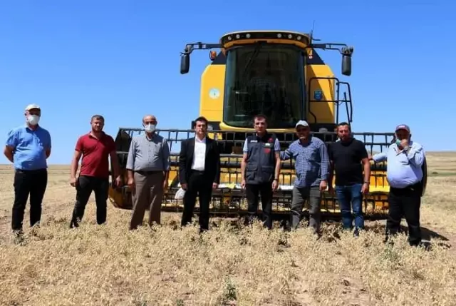 Türkiye'nin nohut deposu Kırşehir'de hasat devam ediyor