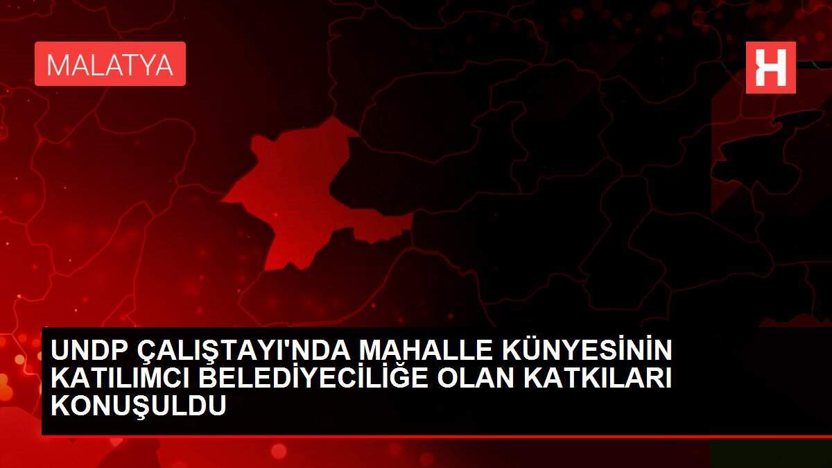 UNDP ÇALIŞTAYI'NDA MAHALLE KÜNYESİNİN KATILIMCI BELEDİYECİLİĞE OLAN KATKILARI KONUŞULDU