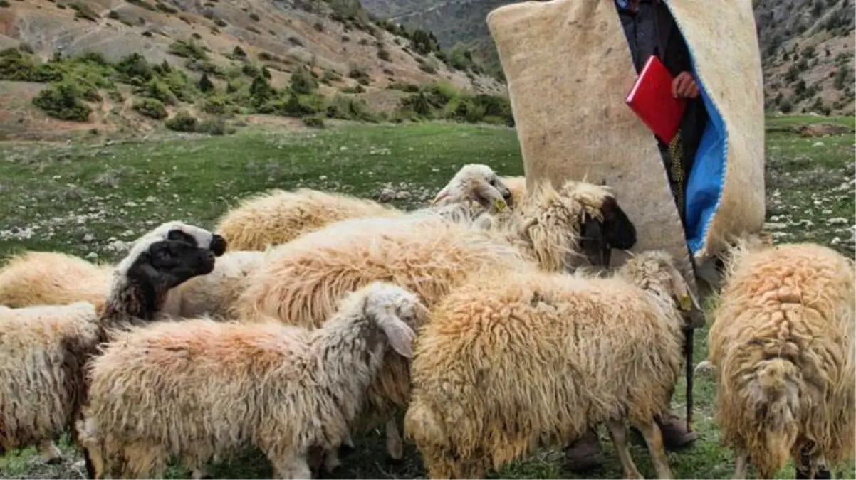 Van'da felaket bitmiyor! 20 yaşındaki gencin ardından 15 yaşındaki çocuk da yıldırım çarpmasıyla öldü