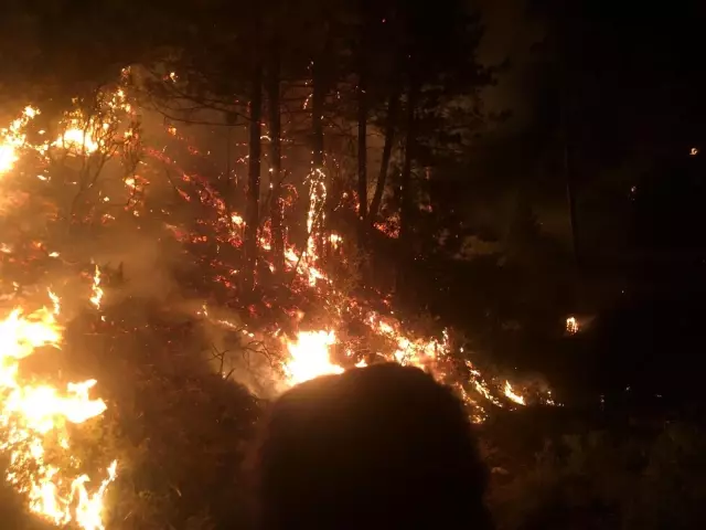 Karacasu da alevlere teslim oldu