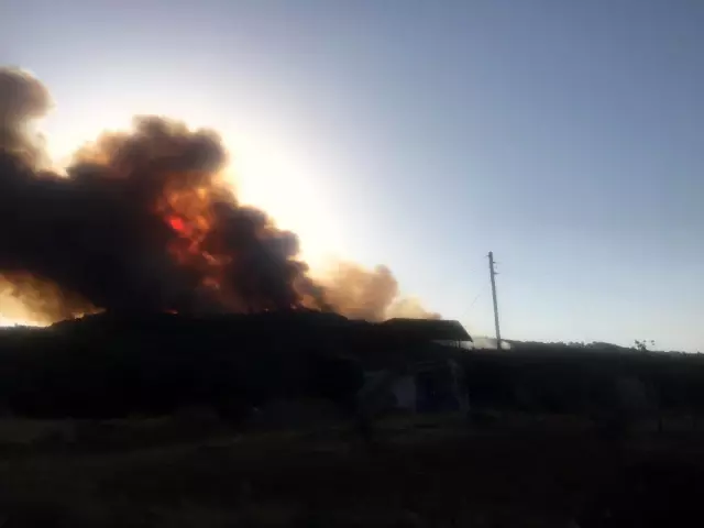 Karacasu da alevlere teslim oldu
