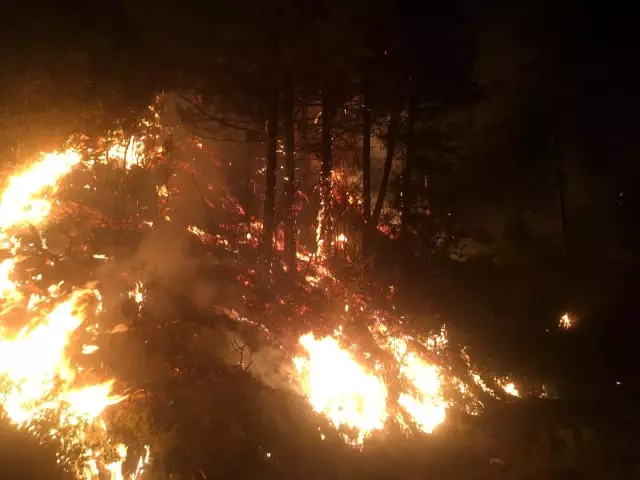 Karacasu da alevlere teslim oldu