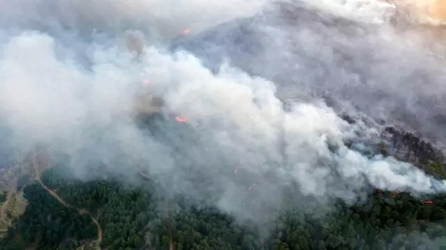 Karacasu da alevlere teslim oldu