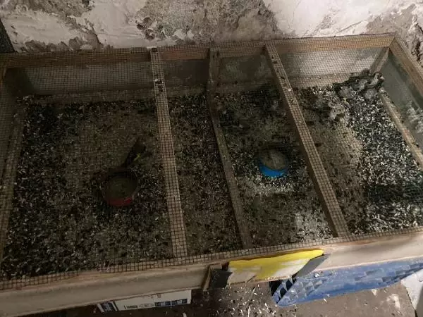 Beslenmesi yasak olan saka kuşlarını satan Suriyeli'ye 120 bin TL ceza kesildi Beslenmesi yasak olan saka kuşlarını satan Suriyeli'ye 120 bin TL ceza kesildi