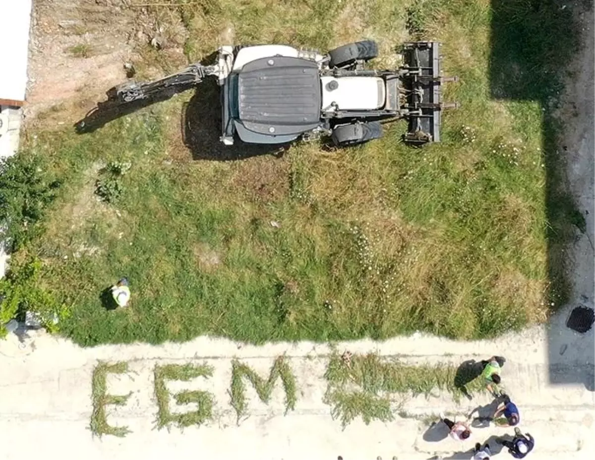 Son dakika... Boş araziye ekilen binlerce kök hint keneviri polisin dikkatinden kaçmadı