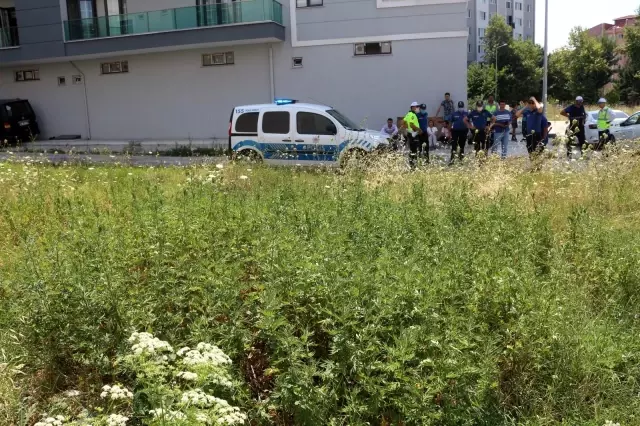 Son dakika... Boş araziye ekilen binlerce kök hint keneviri polisin dikkatinden kaçmadı