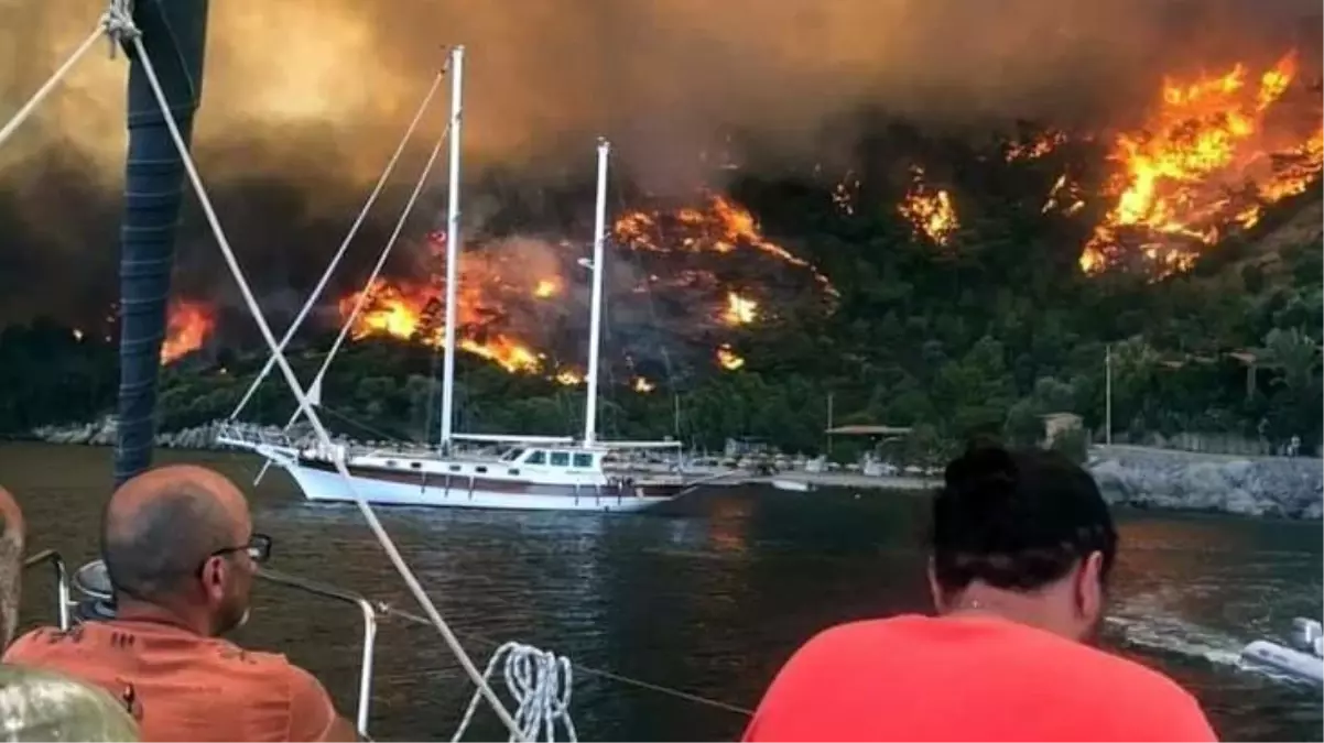 Çökertme Koyu'nu küle çeviren yangını Deli Mehmet rüzgarı körükledi! Tüm turizm tesisleri ve plajları kapatıldı