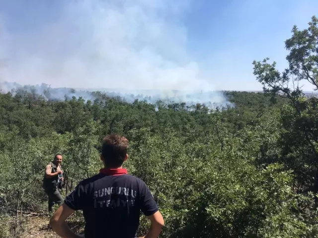 Çorum'da orman yangını Çorum'da orman yangını