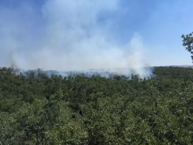 Çorum'da orman yangını
