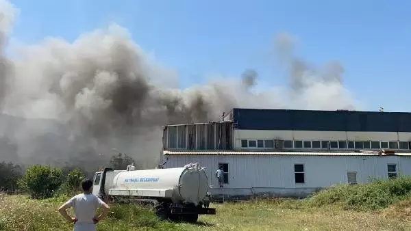 Düzce'de çerez fabrikasında yangın