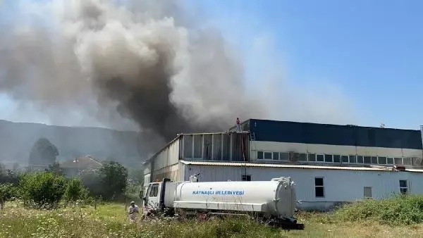 Düzce'de çerez fabrikasında yangın
