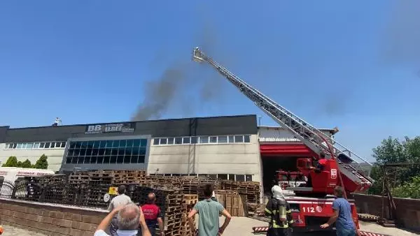 Düzce'de çerez fabrikasında yangın