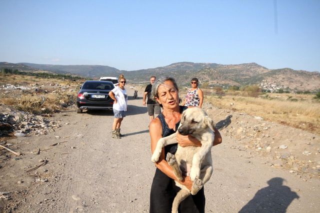emekli olduktan sonra sokak hayvanlari icin 7 14306552 o