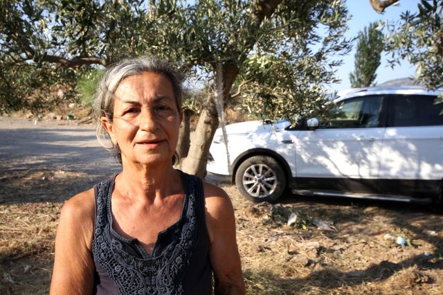 emekli olduktan sonra sokak hayvanlari icin 8 14306552 o