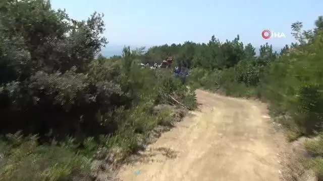 Ereğli'de tarlada çıkan yangın kısa sürede söndürüldü