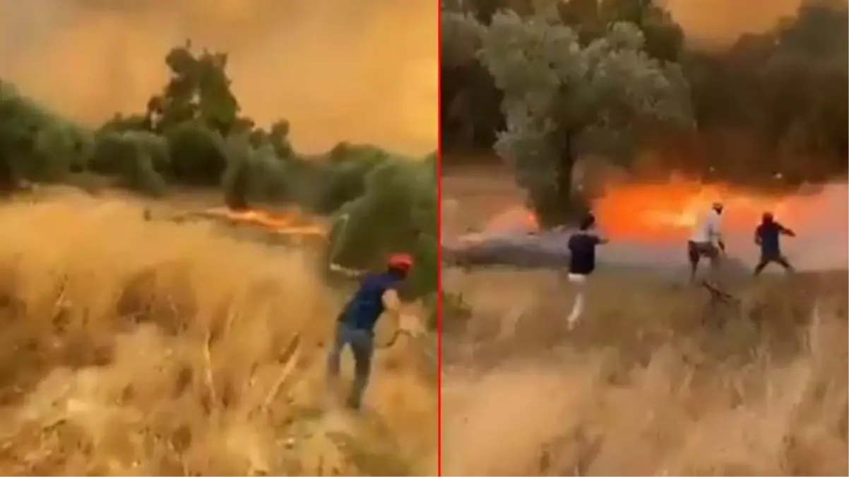 Isparta'da patlayan kozalaklar saniyeler içinde yangını böyle yaydı
