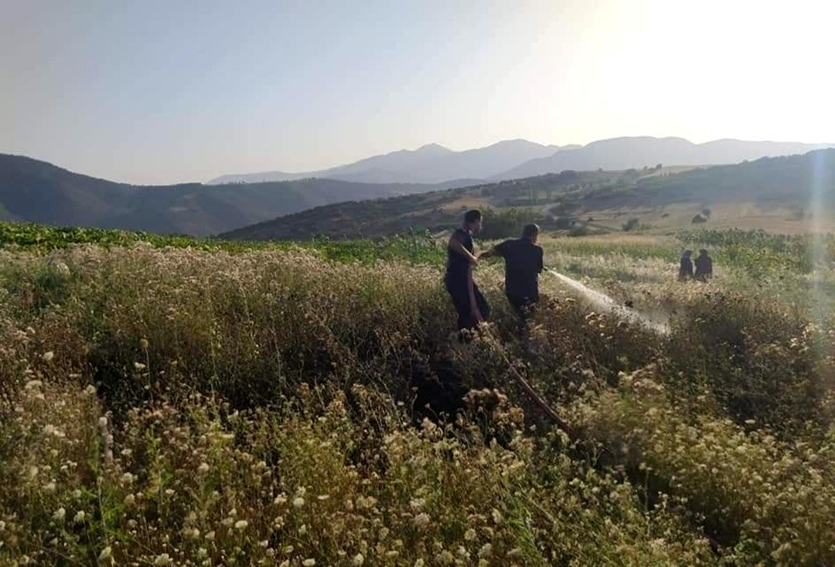 Son Dakika | Jandarma ve köylüler yangını ormana sıçramadan söndürdü