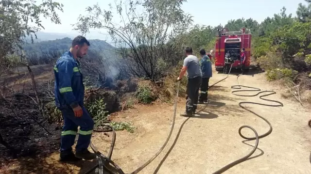 Ereğli'de tarlada çıkan yangın kısa sürede söndürüldü