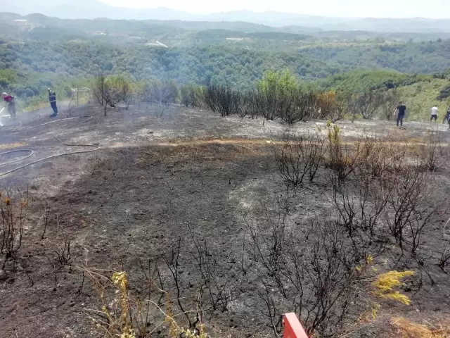 Ereğli'de tarlada çıkan yangın kısa sürede söndürüldü