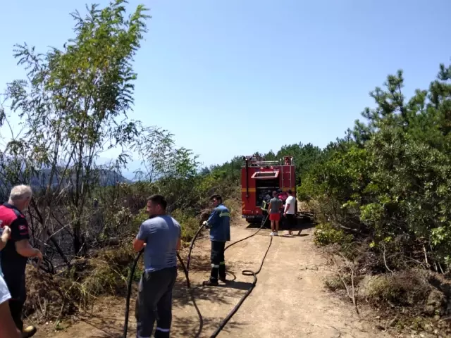 Ereğli'de tarlada çıkan yangın kısa sürede söndürüldü
