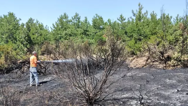 Ereğli'de tarlada çıkan yangın kısa sürede söndürüldü