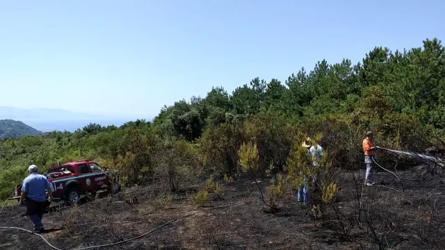 Ereğli'de tarlada çıkan yangın kısa sürede söndürüldü