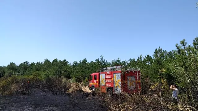 Ereğli'de tarlada çıkan yangın kısa sürede söndürüldü