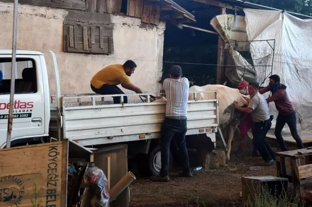 Köyceğiz'de 5 mahalle tahliye edildi