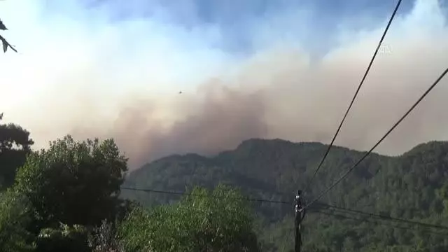 Köyceğiz'deki orman yangınına havadan ve karadan müdahale ediliyor (2)