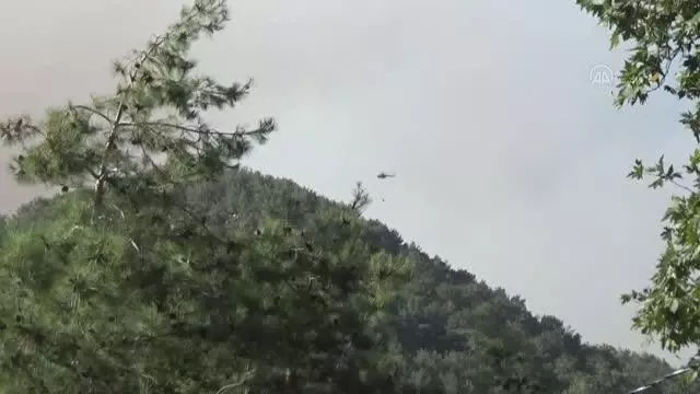 Köyceğiz'deki orman yangınına havadan ve karadan müdahale ediliyor (2)