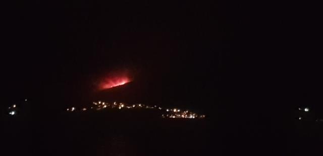 Milas'ta termik santral yakınlarına ulaşan yangın nedeniyle bölge boşaltılıyor