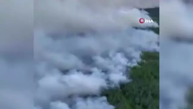 Sibirya'daki orman yangınları yerleşim alanlarına sıçradı