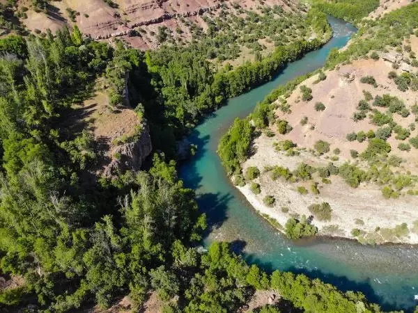 Tunceli'de ormanlara giriş yasağı