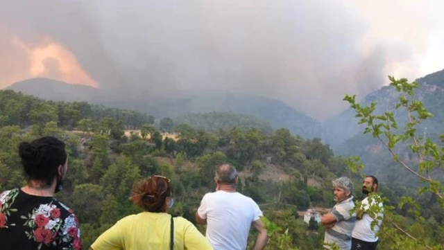 Türkiye'deki orman yangınları yedinci günde sürüyor! İşte vilayet il son durum