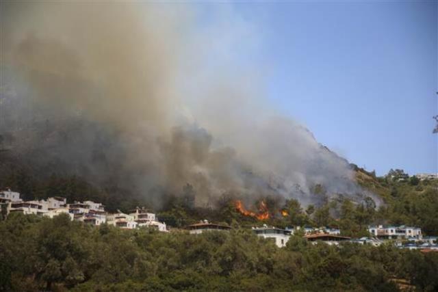 Türkiye'deki orman yangınları yedinci günde sürüyor! İşte il il son durum