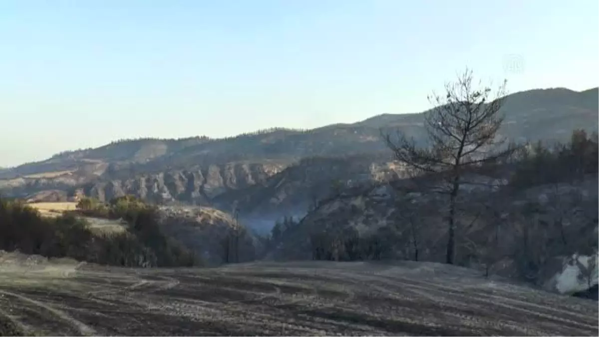 Yangında hasar gören ormanlık alanda soğutma çalışmaları sürüyor