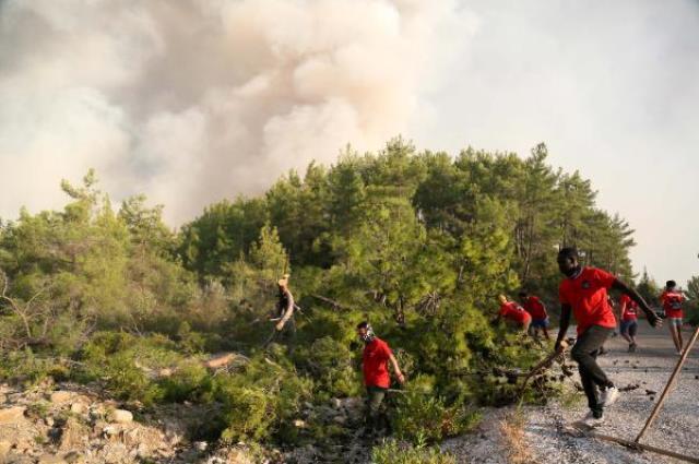 Yangının küle çevirdiği Manavgat'ta çekilen fotoğraf milyonların yüreğini dağladı