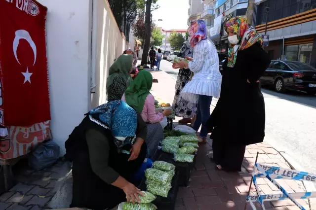 'Yeşil altın' olarak bilinen bamya, kilosu 30 liradan tezgahlara indi 'Yeşil altın' olarak bilinen bamya, kilosu 30 liradan tezgahlara indi