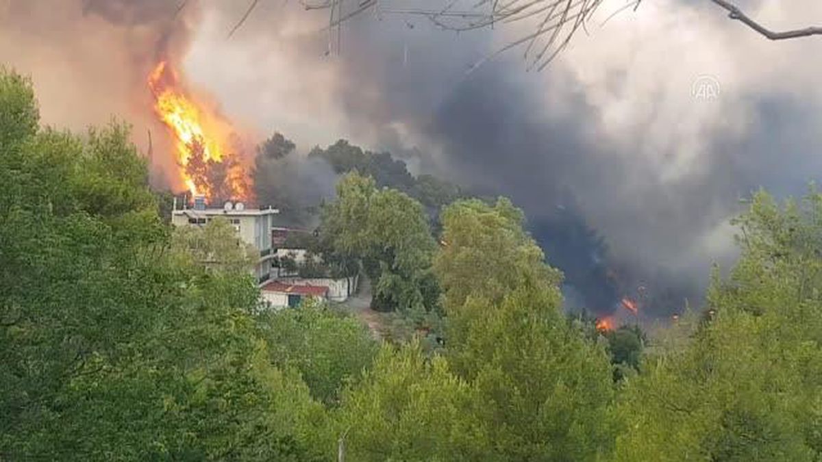 Yunanistan'da orman yangınları devam ediyor